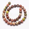 Natural Plum Blossom Jasper Beads Strands G-A163-02-6mm-2