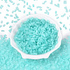 FGB Frosted Transparent Glass Seed Beads SEED-N013-05A-10-2