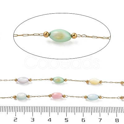 Shell & 304 Stainless Steel Oval Beads Link Chains CHS-K021-09G-05-1