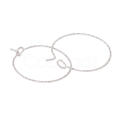 316 Surgical Stainless Steel Hoop Earrings Findings STAS-D183-02P-02-1