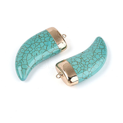 Dyed Synthetic Turquoise Tusk Shape Big Pendants TURQ-T004-22-1