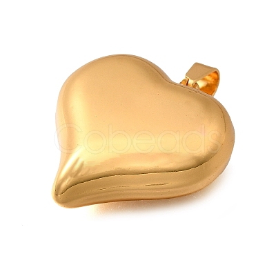 304 Stainless Steel Pendants STAS-H200-01G-06-1