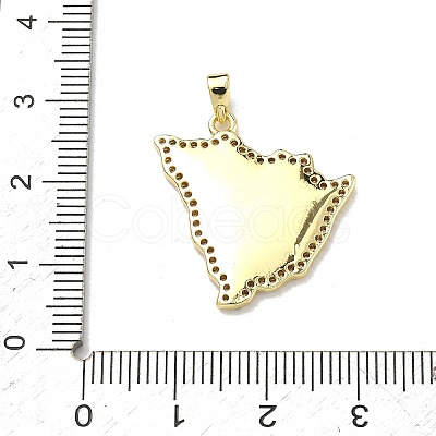 Brass Micro Pave Cubic Zirconia Pendants KK-D235-09G-1