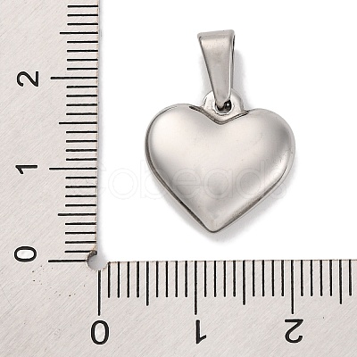 304 Stainless Steel Pendants STAS-P278-01A-P-1-1