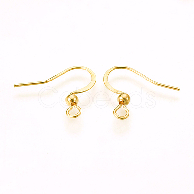 316 Surgical Stainless Steel Earring Hooks STAS-P220-13G-1