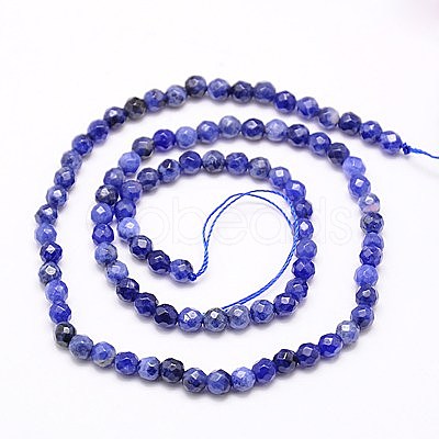 Natural Sodalite Beads Strands G-G545-16-1
