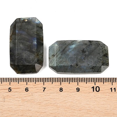 Natural Labradorite Pendants G-H325-03I-1