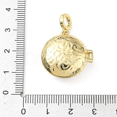 Brass Enamel Photo Locket Pendants KK-A303-19A-G-1