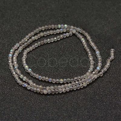 Natural Labradorite Beads Strands G-K182-2mm-25A-1