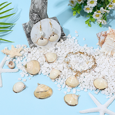 30Pcs Electroplated Natural Shell Pendants SSHEL-SC0001-58-1