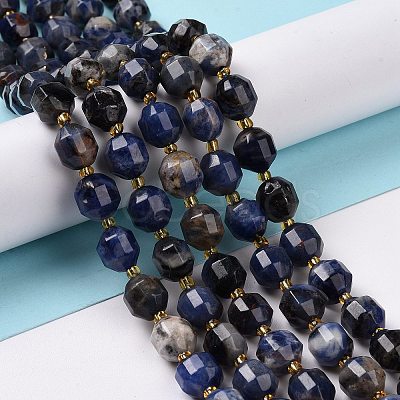 Natural Sodalite Beads Strands with Seed Beads G-G990-E01-1