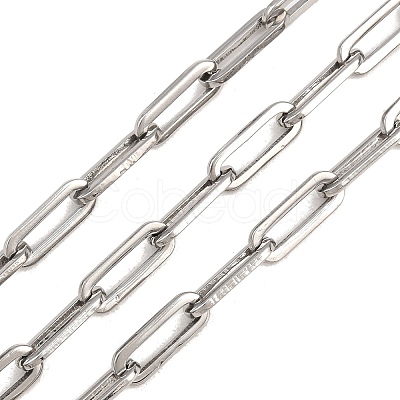 304 Stainless Steel Textured Paperclip Chains CHS-H118-09P-1