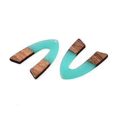 Transparent Resin & Walnut Wood Pendants RESI-N025-029-C04-1