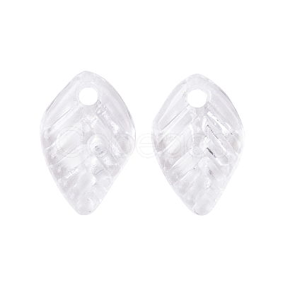 Transparent Acrylic Charms TACR-G050-02D-1