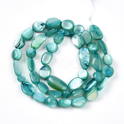 Natural White Shell Beads Strands SHEL-N036-21C-1