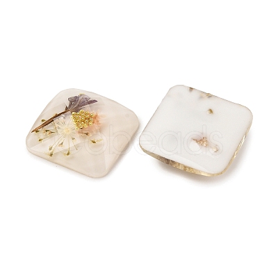 Transparent Resin Cabochons RESI-K033-12B-1