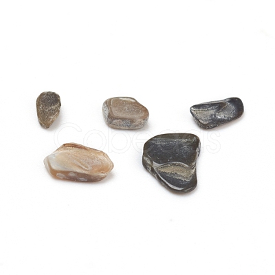 Natural Freshwater Shell Beads BSHE-I011-03A-1