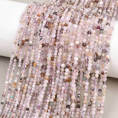 Natural Purple Rutilated Quartz Beads Strands G-RM250104-D7-1