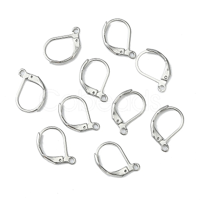 Tarnish Resistant 304 Stainless Steel Leverback Earring Findings X-STAS-S028-07-1