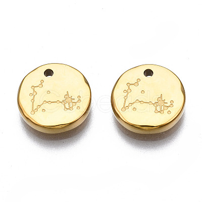 316 Surgical Stainless Steel Charms STAS-S116-418L-G-1