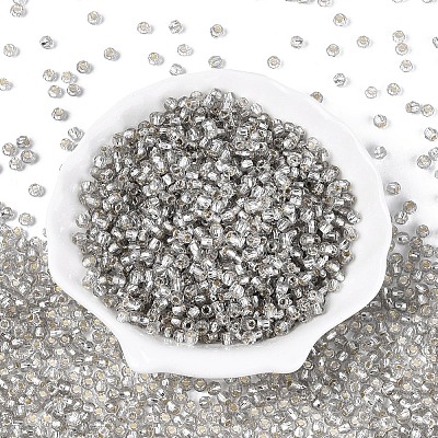 Silver Lined Glass Seed Beads SEED-T007-18A-02-1