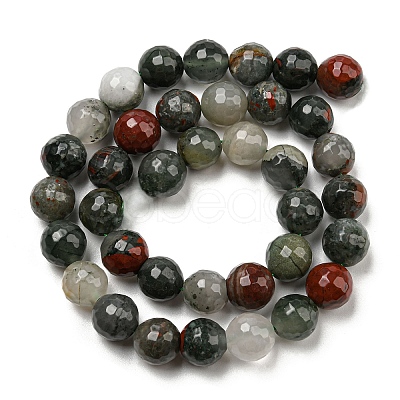 Natural Afican Bloodstone Beads Strands G-C079-B02-02-1