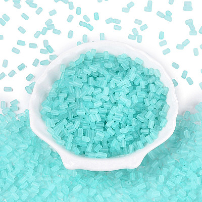 FGB Frosted Transparent Glass Seed Beads SEED-N013-05A-10-1