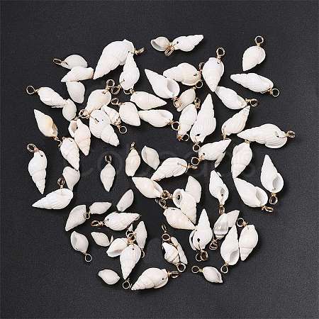 80Pcs 3 Styles Spiral Shell Pendants FIND-SC0012-93-1