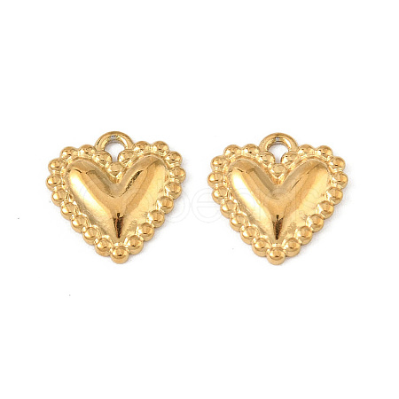 304 Stainless Steel Charms STAS-P396-06G-1