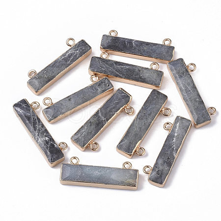 Natural Labradorite Charms X-G-S359-012B-1
