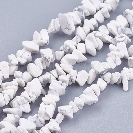 Natural Howlite Stone Bead Strands X-G-R192-15-1