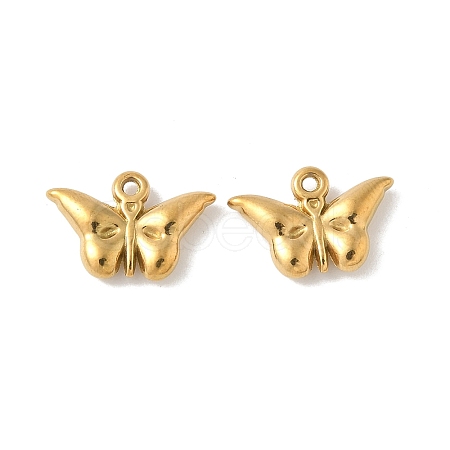 304 Stainless Steel Charms STAS-F320-03C-G-1