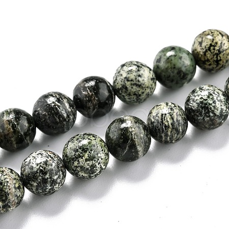 Natural Green Zebra Jasper Beads Strands G-L574-05B-1