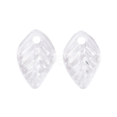 Transparent Acrylic Charms TACR-G050-02D-1