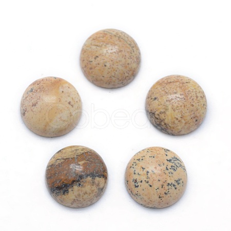 Natural Picture Jasper Cabochons G-P393-R51-12MM-1