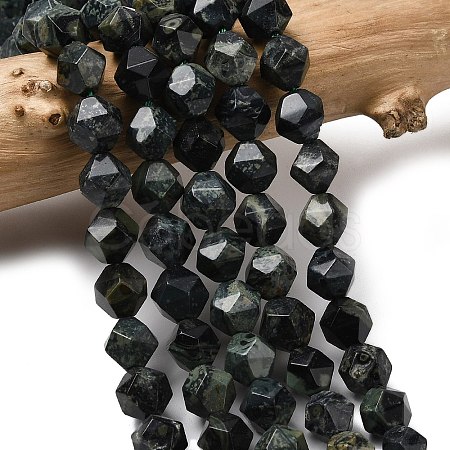 Natural Kambaba Jasper Beads Strands G-Z119-A20-02-1