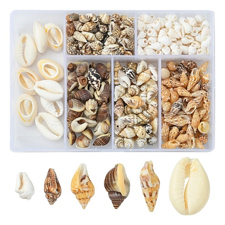 6 Styles Natural Mixed Cowrie Shell Beads Sets BSHE-YW0001-05-1