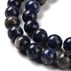 Natural Sodalite Beads Strands G-D481-12C-4