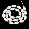 Plating Natural Freshwater Shell Beads Strands SHEL-N026-228-2