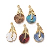 Dyed Nautal Shell Pendants SH-K002-02G-1