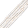 Natural Freshwater Shell Dyed Beads Strands SHEL-M018-12-12-2