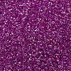 MIYUKI Delica Beads X-SEED-J020-DB1743-2