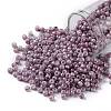 TOHO Round Seed Beads SEED-XTR08-1202-1