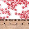 Glass Seed Beads SEED-A032-05F-4