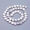 Shell Pearl Beads Strands X-BSHE-P030-01A-1