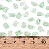 Transparent Spray Painted Glass Seed Beads SEED-L011-10A-15-4
