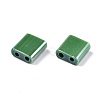 FGB 2-Hole Glass Seed Beads SEED-S031-L-ST127-3