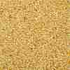 TOHO 11/0 Round Beads X-SEED-TR11-0103-2