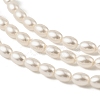Electroplated Shell Pearl Beads Strands BSHE-Z009-10C-3