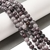 Natural Gemstone Beads Strands G-H067-A01-6MM-2